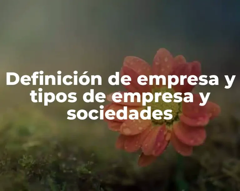 Definición de empresa y tipos de empresa y sociedades