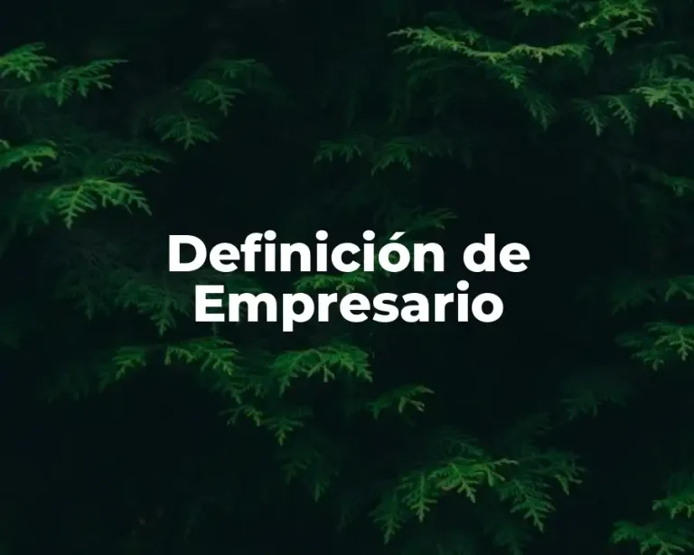 Definición de Empresario