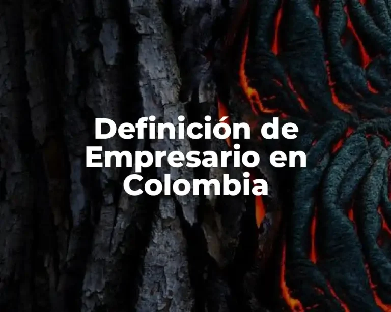 Definición de Empresario en Colombia