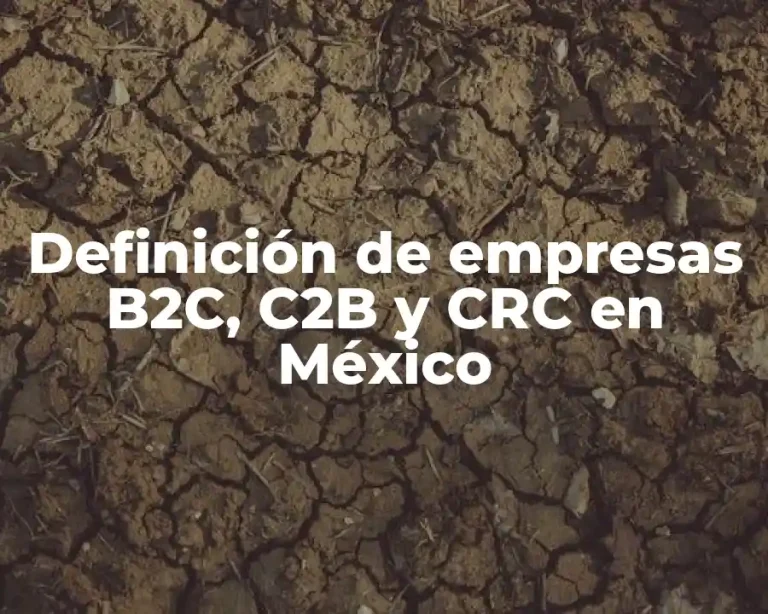 Definición de empresas B2C, C2B y CRC en México