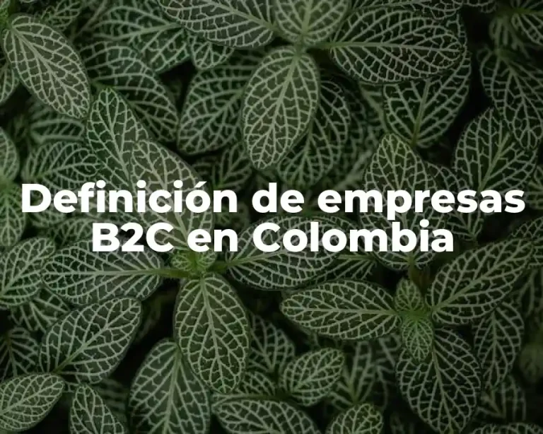 Definición de empresas B2C en Colombia