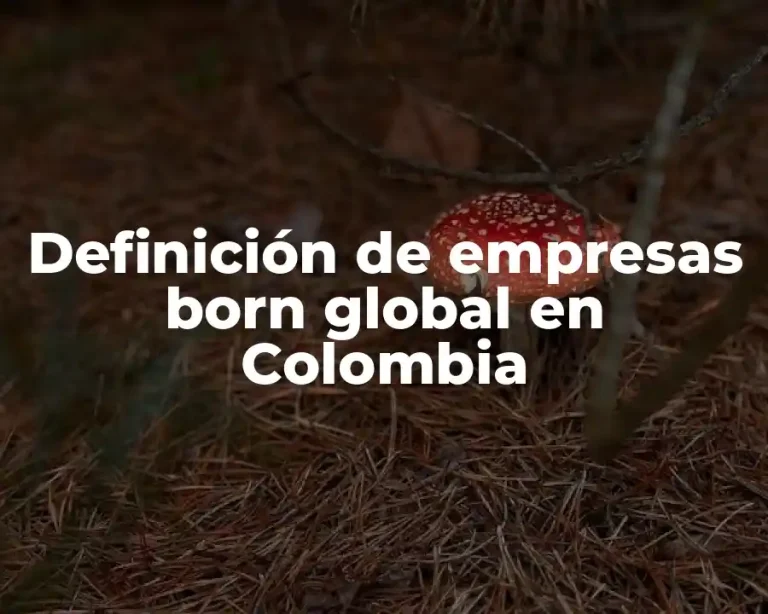 Definición de empresas born global en Colombia