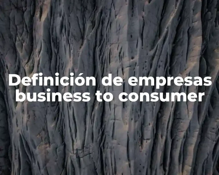 Definición de empresas business to consumer