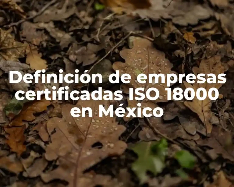 Definición de empresas certificadas ISO 18000 en México