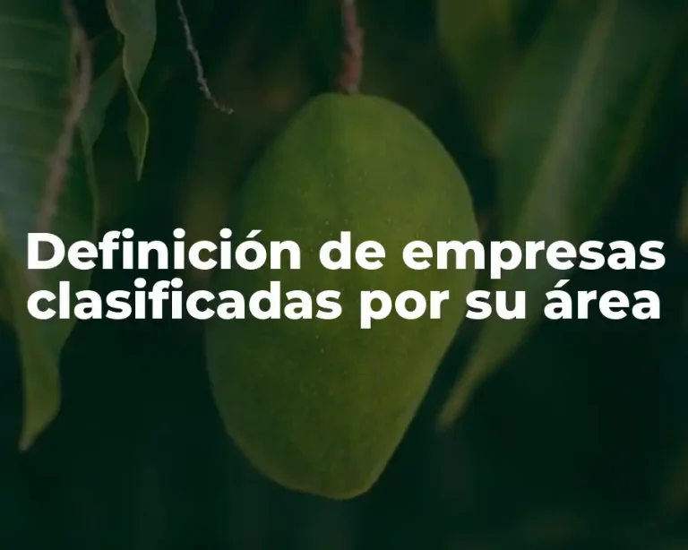 Definición de empresas clasificadas por su área