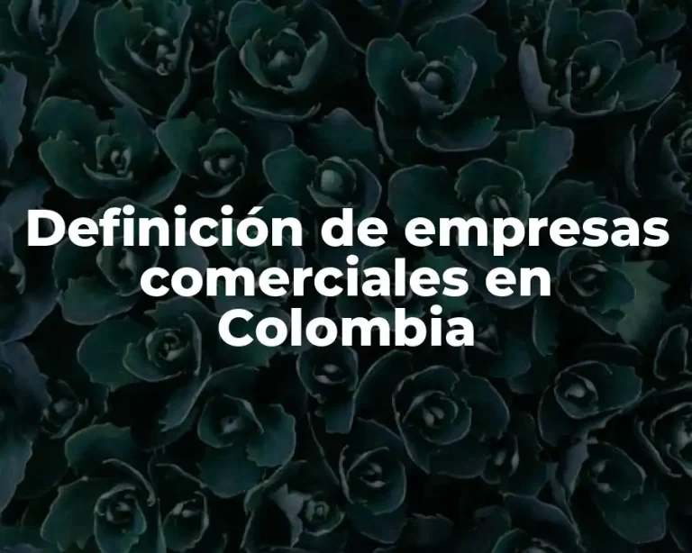 Definición de empresas comerciales en Colombia