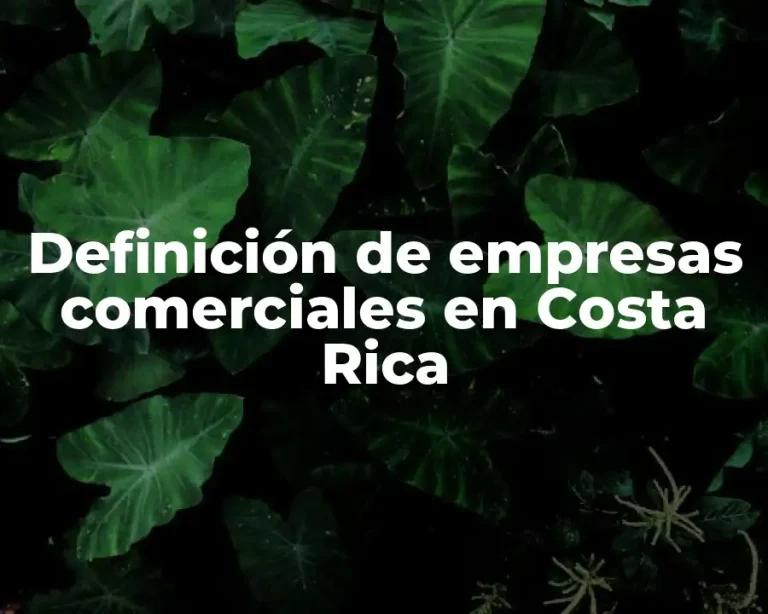 Definición de empresas comerciales en Costa Rica