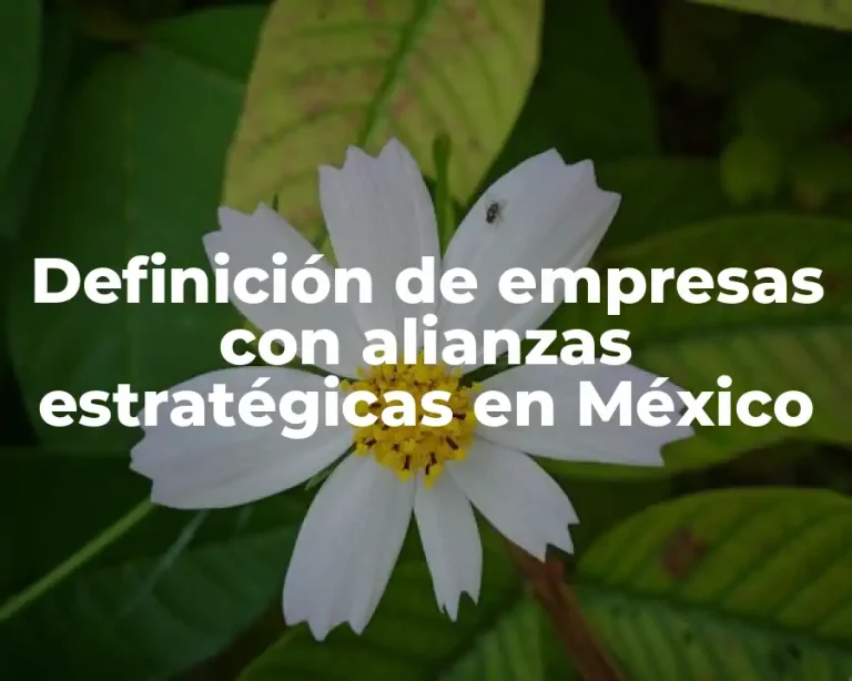 Definición de empresas con alianzas estratégicas en México