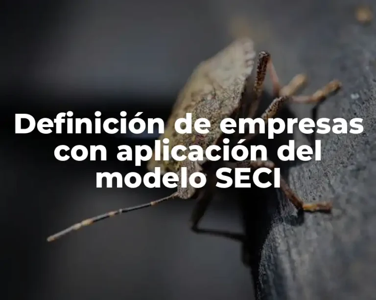 Definición de empresas con aplicación del modelo SECI