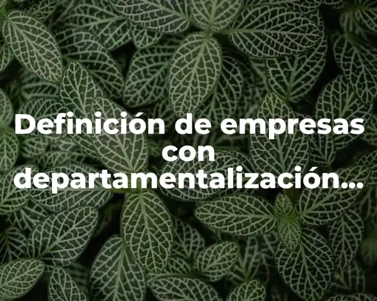 Definición de empresas con departamentalización por clientes organigrama gobierno
