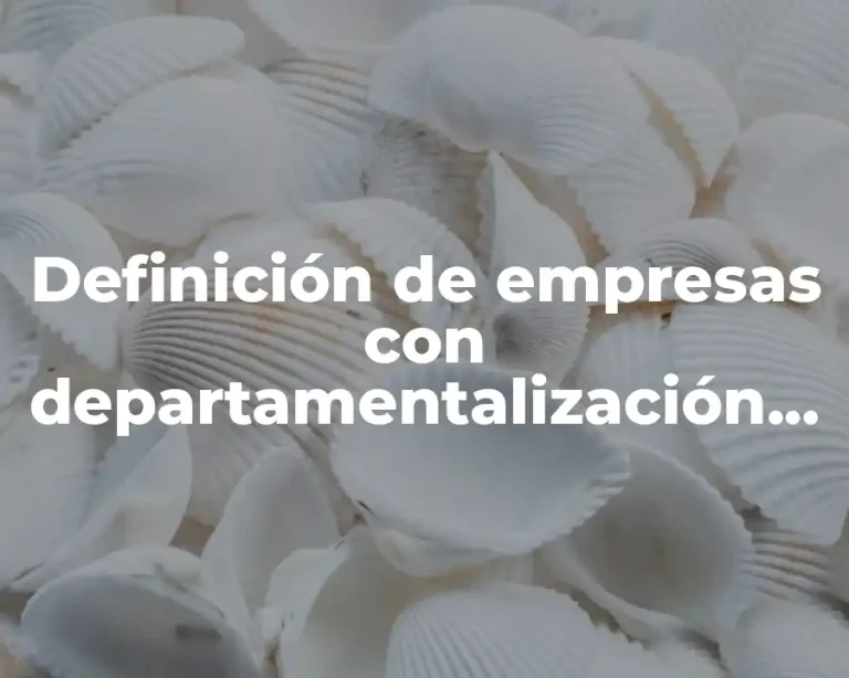 Definición de empresas con departamentalización por producto