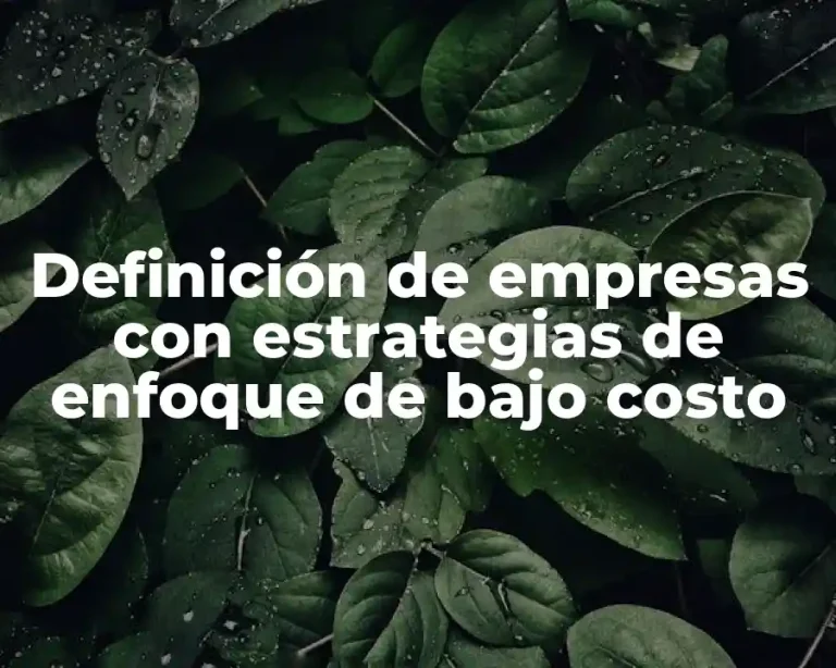 Definición de empresas con estrategias de enfoque de bajo costo