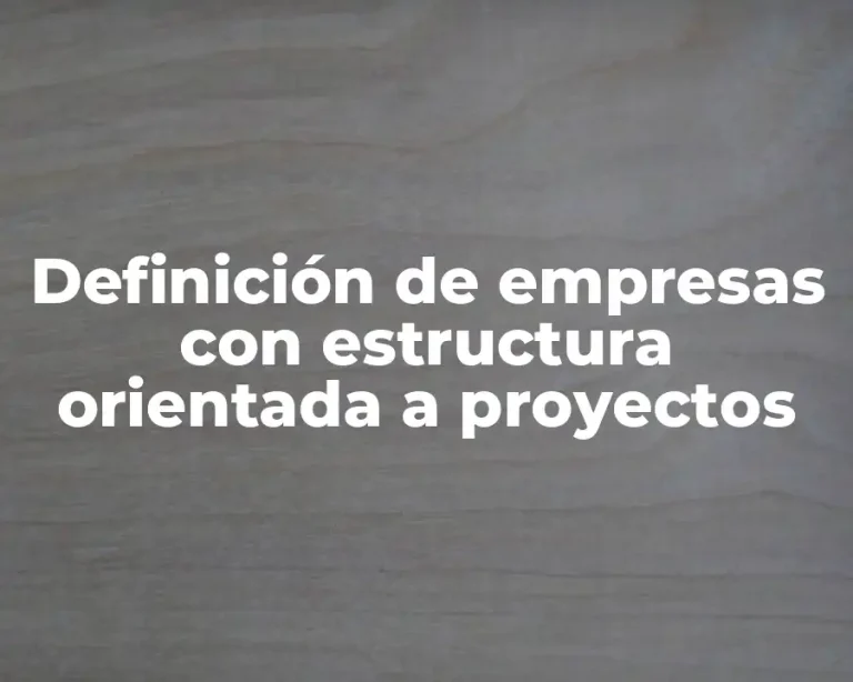 Definición de empresas con estructura orientada a proyectos