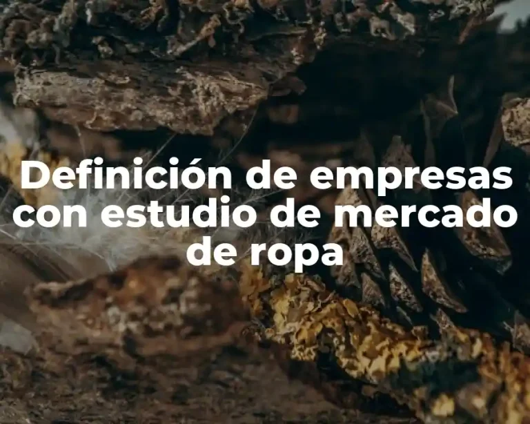 Definición de empresas con estudio de mercado de ropa