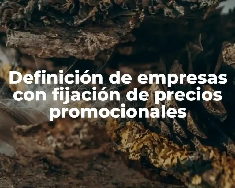 Definición de empresas con fijación de precios promocionales