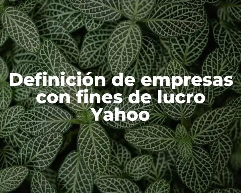 Definición de empresas con fines de lucro Yahoo