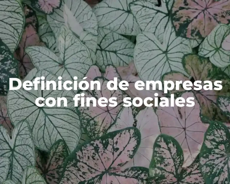 Definición de empresas con fines sociales
