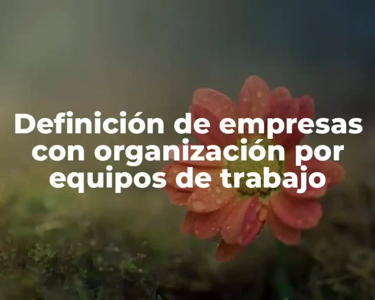 Definición de empresas con organización por equipos de trabajo