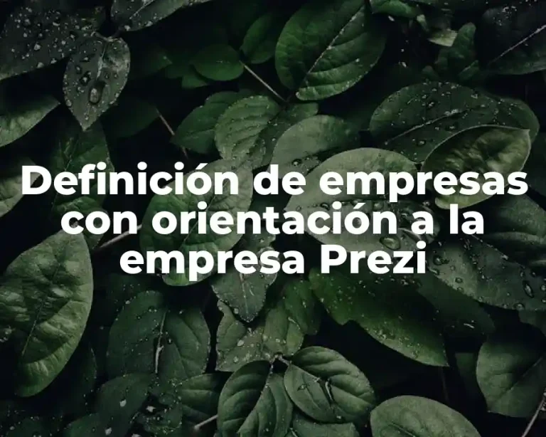 Definición de empresas con orientación a la empresa Prezi