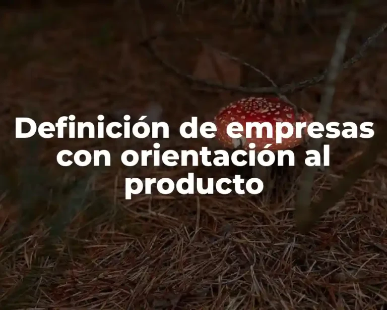 Definición de empresas con orientación al producto