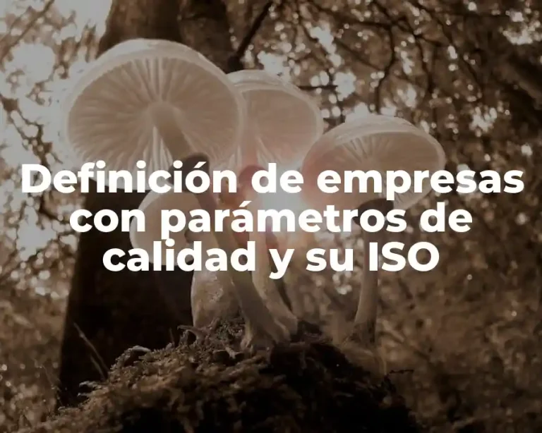 Definición de empresas con parámetros de calidad y su ISO