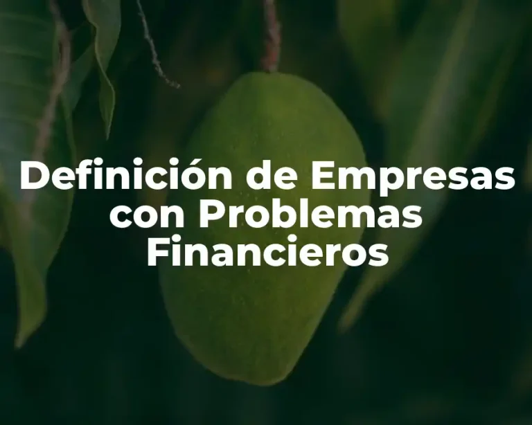 Definición de Empresas con Problemas Financieros