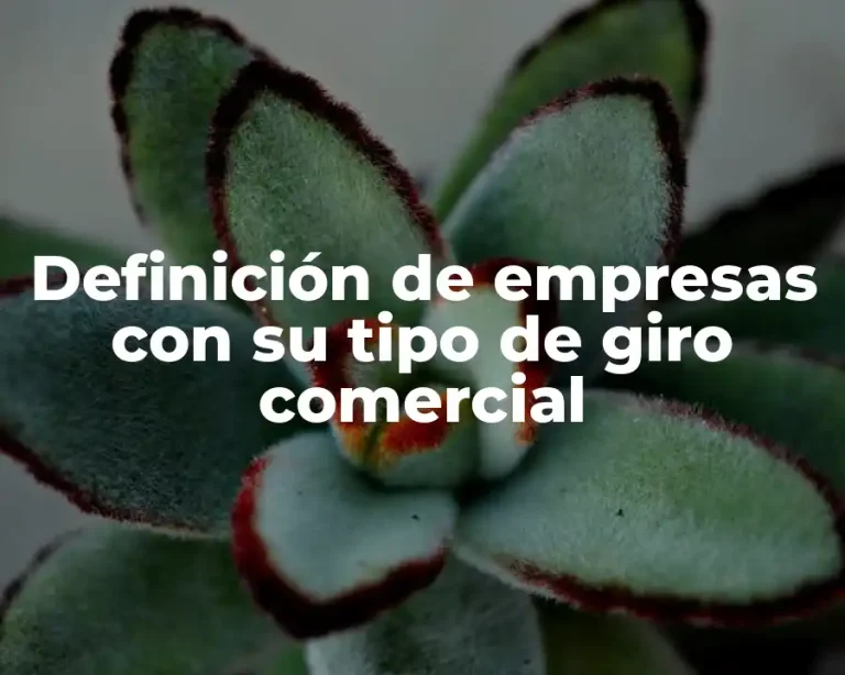Definición de empresas con su tipo de giro comercial