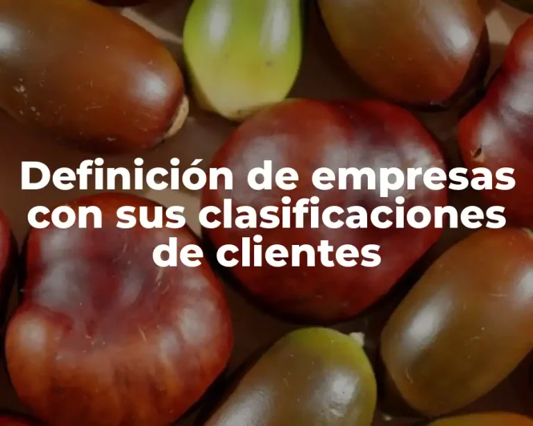 Definición de empresas con sus clasificaciones de clientes