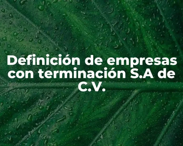 Definición de empresas con terminación S.A de C.V.