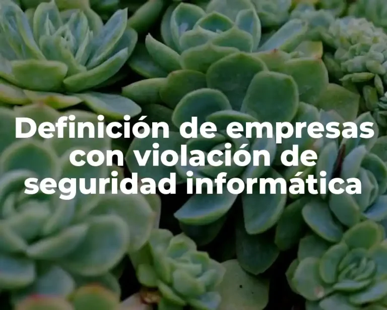 Definición de empresas con violación de seguridad informática