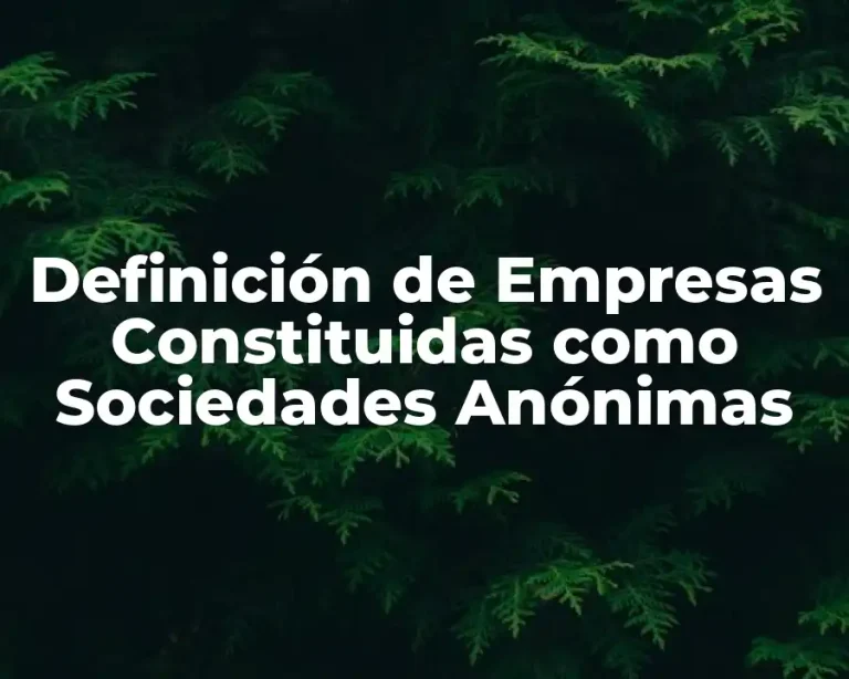 Definición de Empresas Constituidas como Sociedades Anónimas