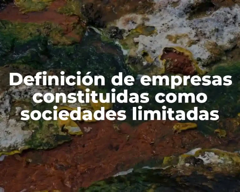 Definición de empresas constituidas como sociedades limitadas
