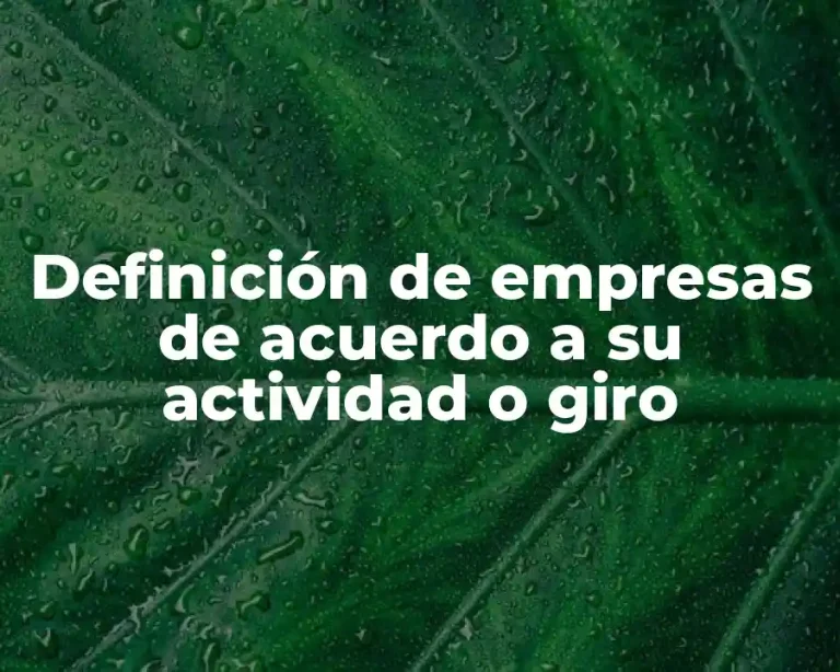 Definición de empresas de acuerdo a su actividad o giro