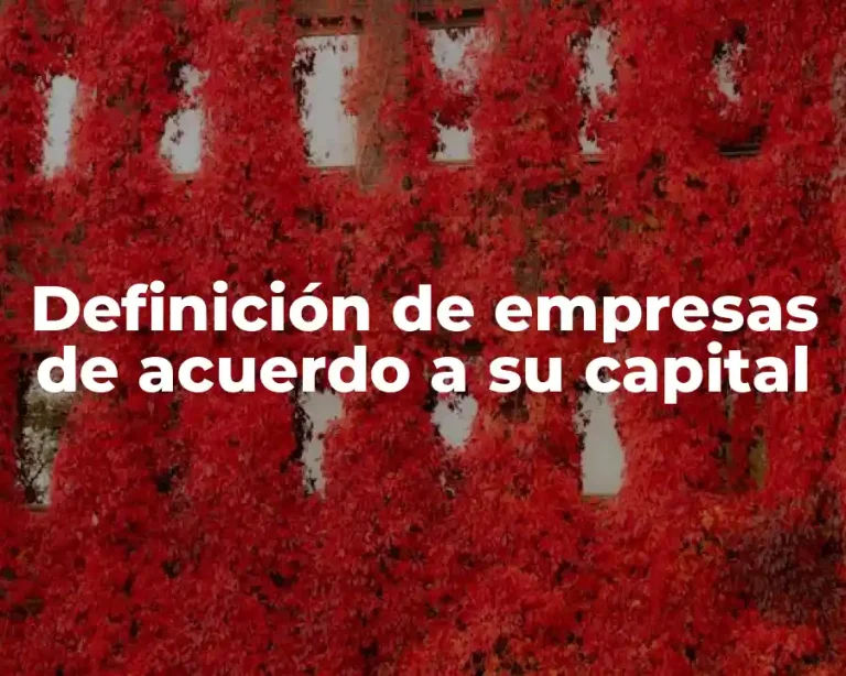 Definición de empresas de acuerdo a su capital
