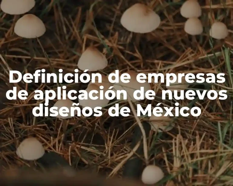 Definición de empresas de aplicación de nuevos diseños de México