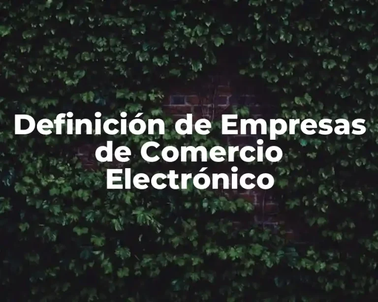 Definición de Empresas de Comercio Electrónico