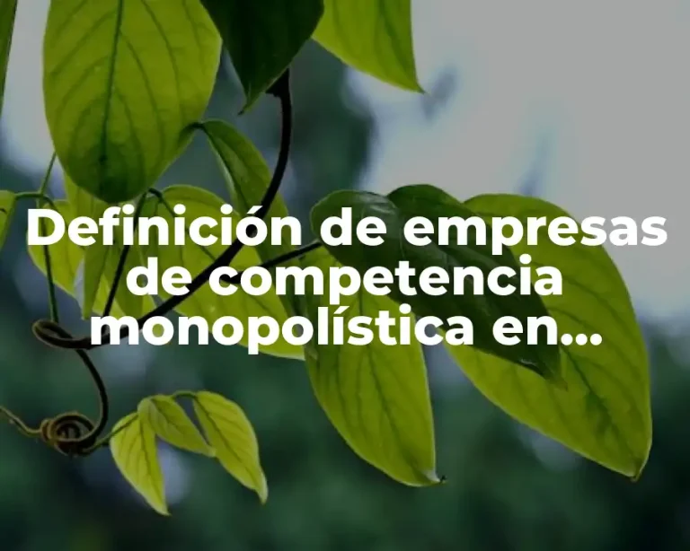 Definición de empresas de competencia monopolística en España