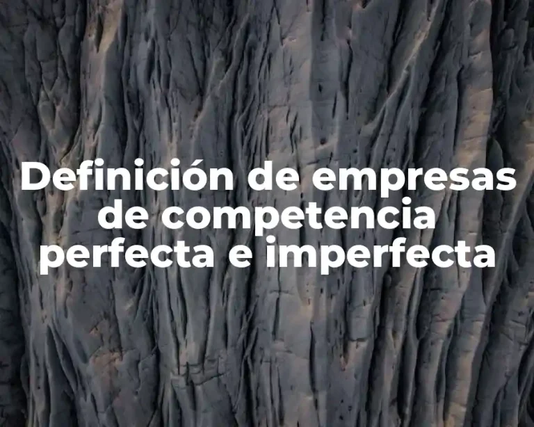 Definición de empresas de competencia perfecta e imperfecta
