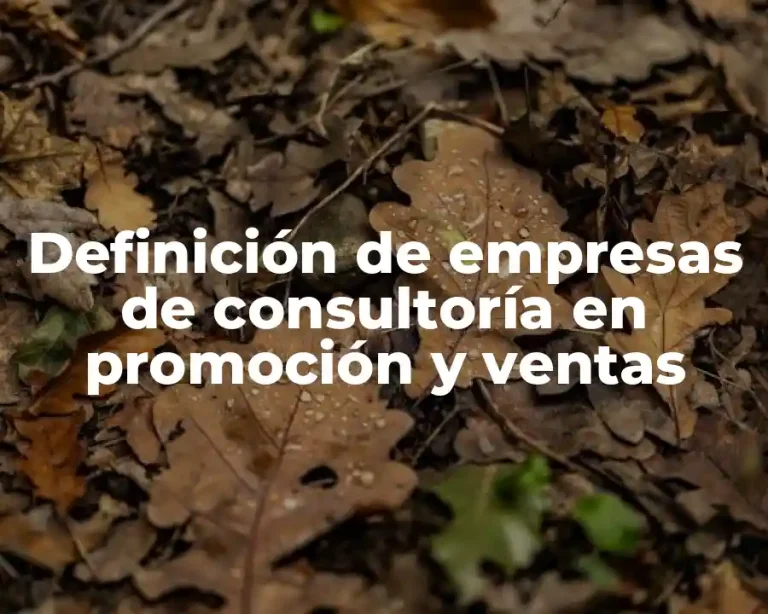 Definición de empresas de consultoría en promoción y ventas