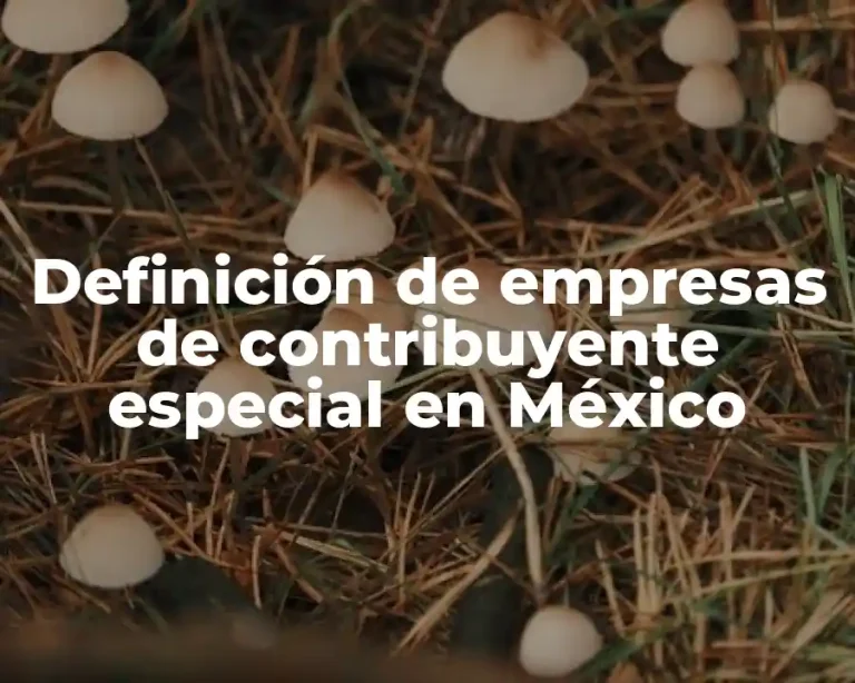 Definición de empresas de contribuyente especial en México