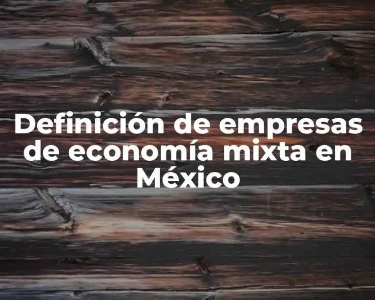 Definición de empresas de economía mixta en México