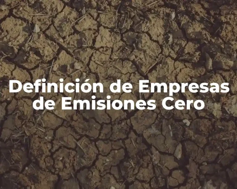 Definición de Empresas de Emisiones Cero