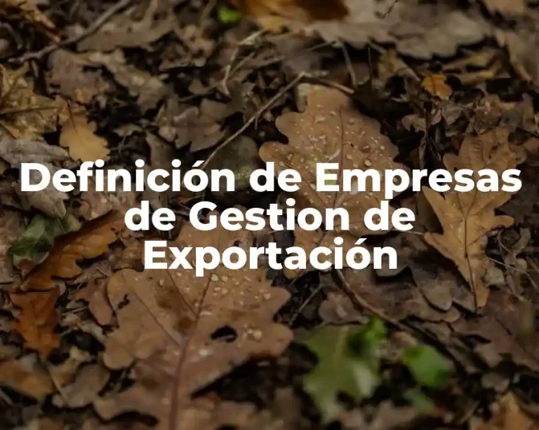 Definición de Empresas de Gestion de Exportación