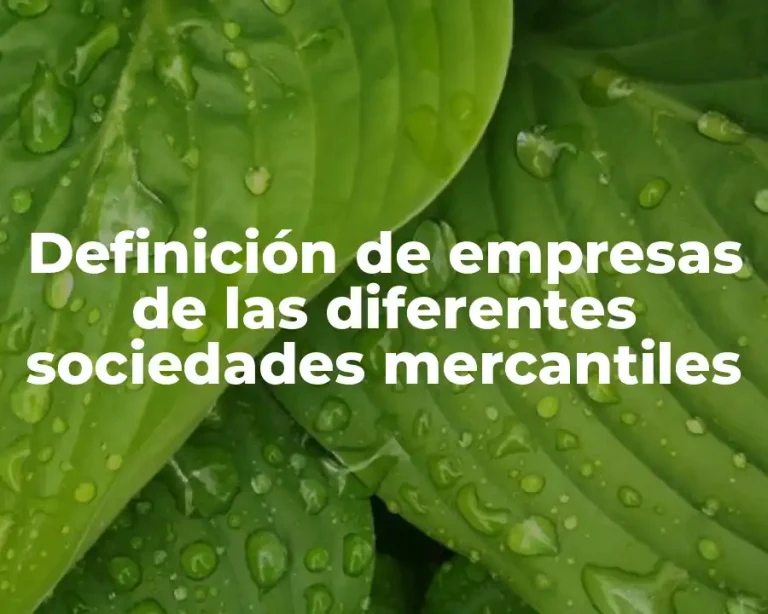 Definición de empresas de las diferentes sociedades mercantiles