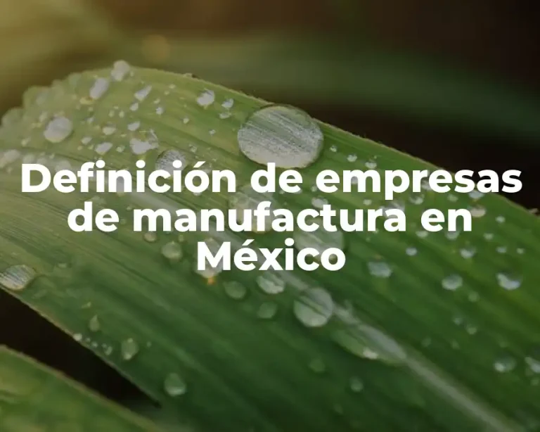 Definición de empresas de manufactura en México