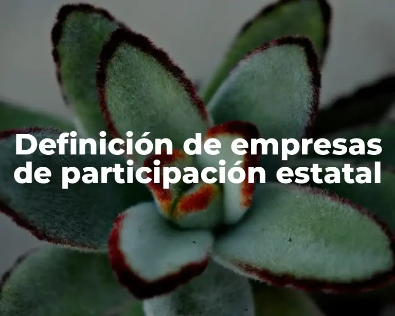 Definición de empresas de participación estatal