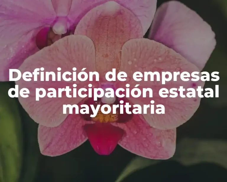 Definición de empresas de participación estatal mayoritaria