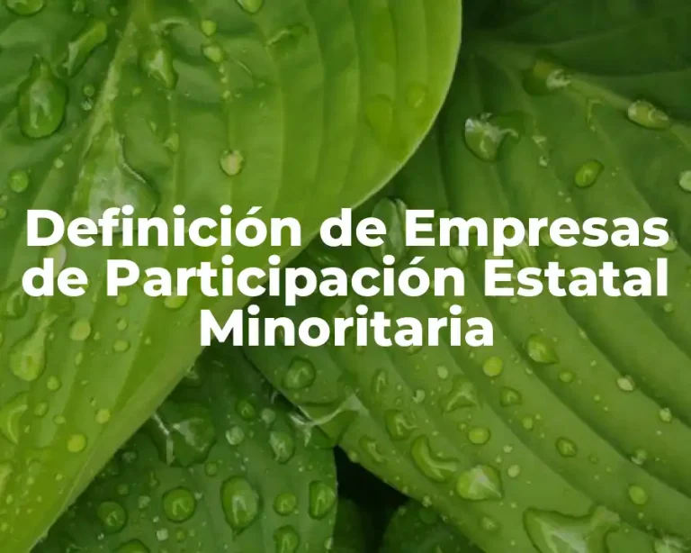 Definición de Empresas de Participación Estatal Minoritaria