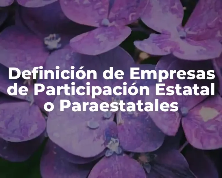 Definición de Empresas de Participación Estatal o Paraestatales