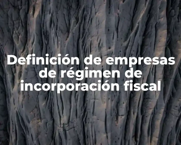 Definición de empresas de régimen de incorporación fiscal